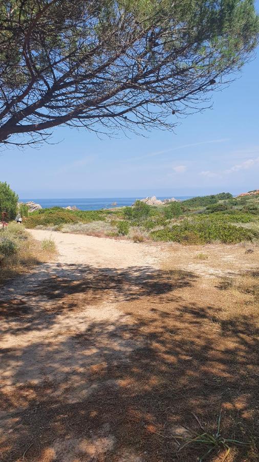 Casa Clami Διαμέρισμα Castelsardo Εξωτερικό φωτογραφία